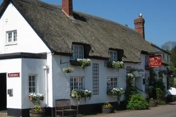 Digger's Rest - East Devon Area of Outstanding Natural Beauty