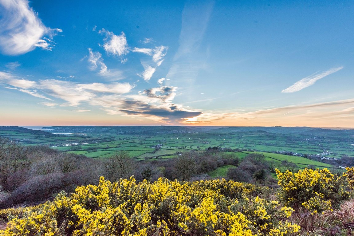 East Devon Area of Outstanding Natural Beauty - A landscape 250 million ...