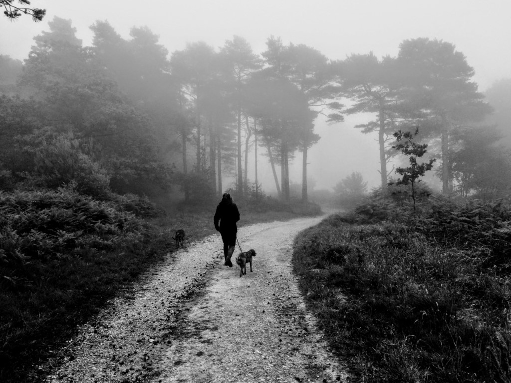 Bronze Age Tour - East Devon Area of Outstanding Natural Beauty